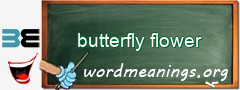 WordMeaning blackboard for butterfly flower